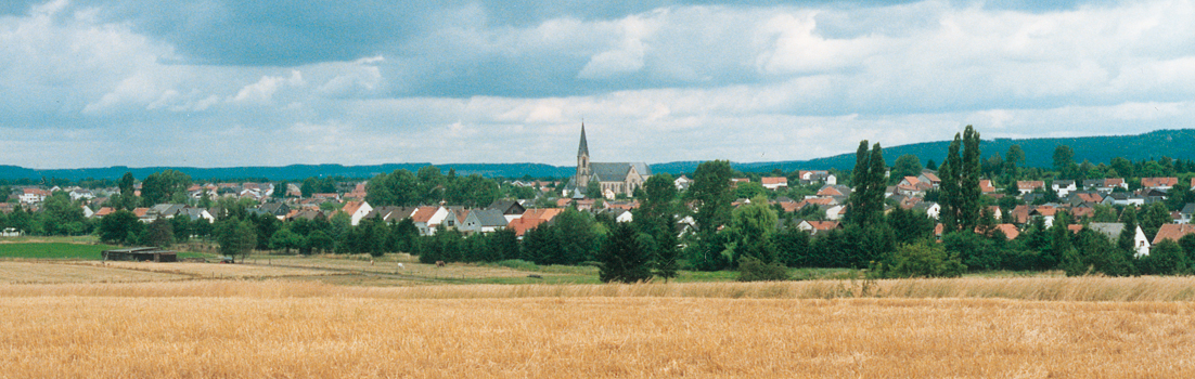 Ortsrat Saarwellingen